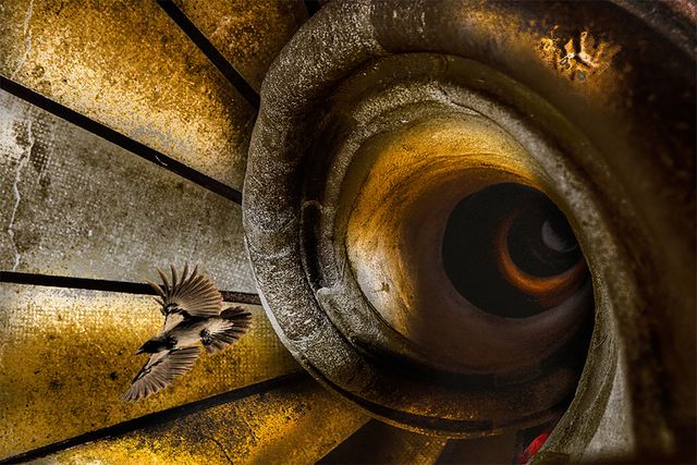Mysterious Flight